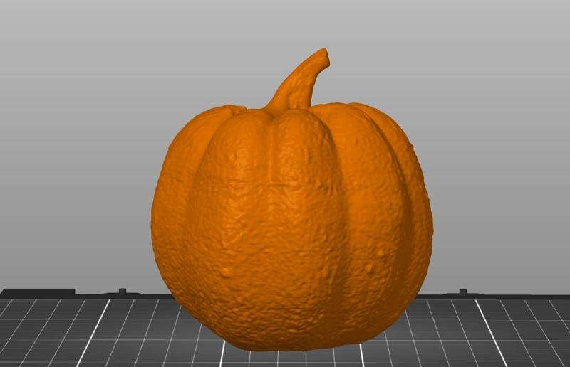 Pumpkin / Dýně