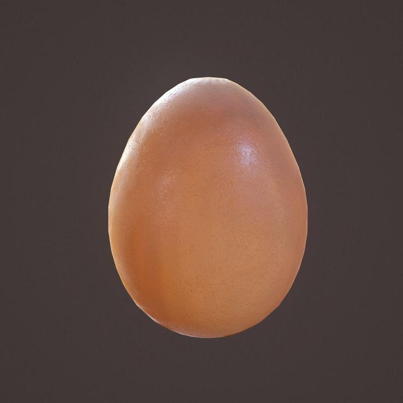 Egg