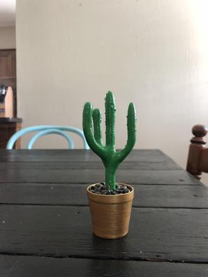 Cactus Ring Holder