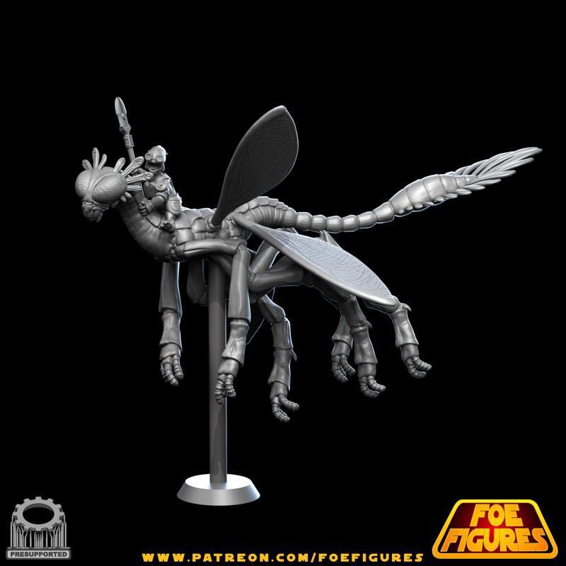 Cen Call + Elaana Rider!