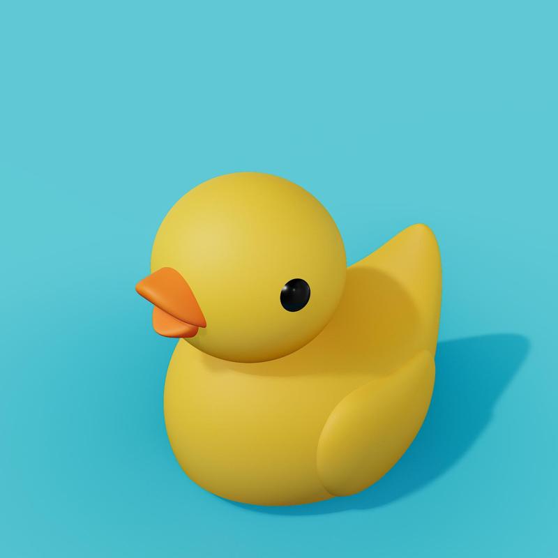 Cute duckling
