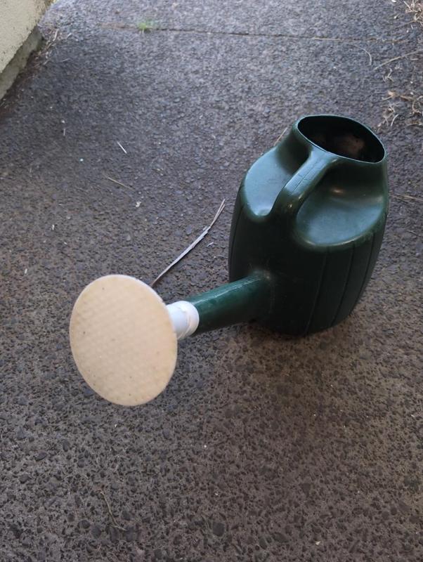 Watering Can Head (Rose Head for watering can)