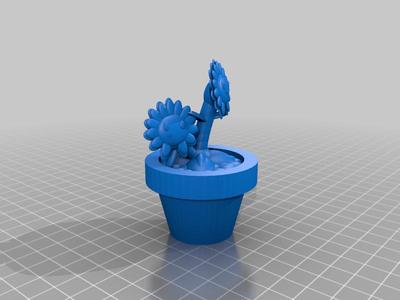 Twin Sunflower in a pot