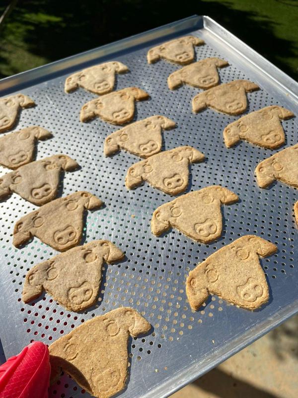 Italian greyhound cookie cutter