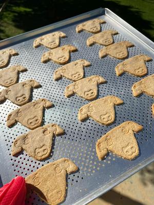 Italian greyhound cookie cutter