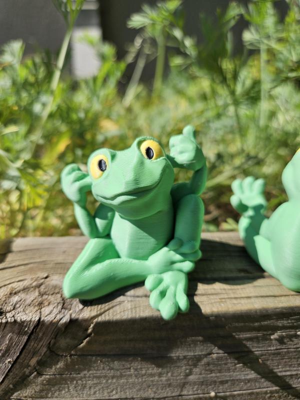 Hear No Evil Frog