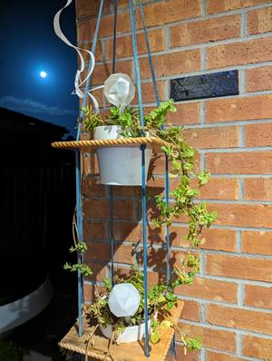Automatic plant watering