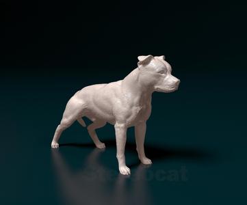 American Pitbull