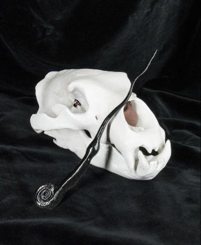 Peter Pettigrew’s Wand - Harry Potter