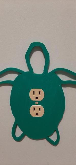 Turtle wall outlet cover