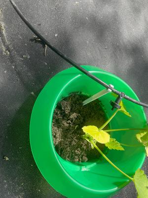 Gardena Micro-Drip halter (Für Schnecken kragen verlängert)