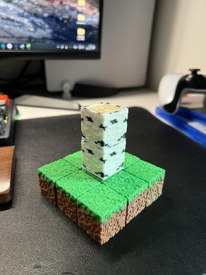Minecraft Logs