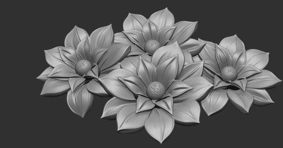Special Lily Flower