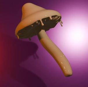 dripping mushroom