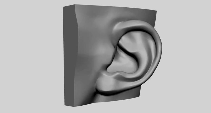 Ear Printable v2