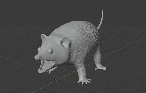 Hissing Opossum