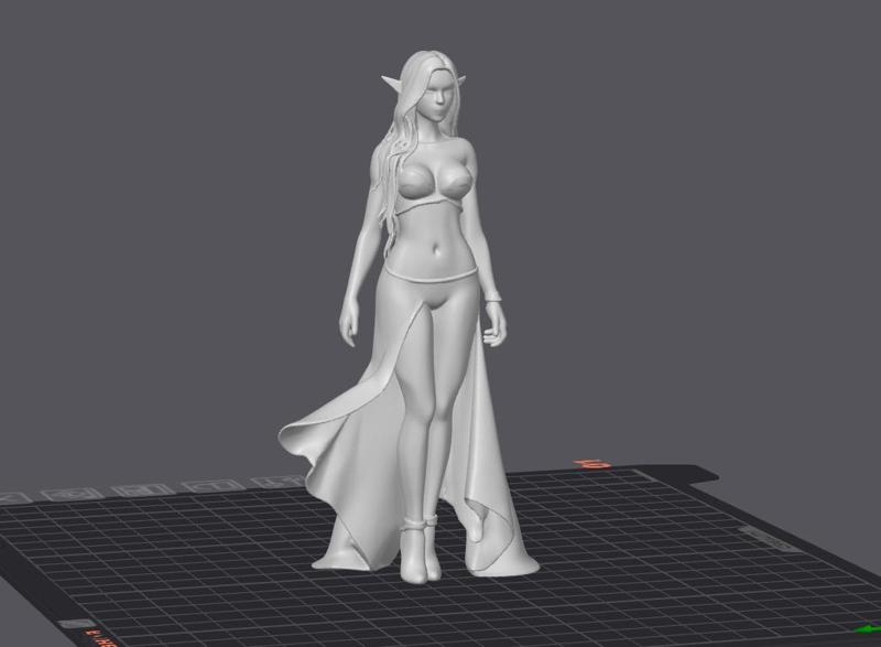 Beautiful Elf Girl #03