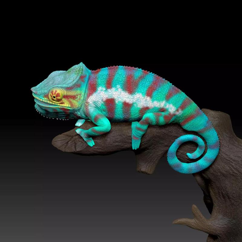 Chamaeleon Furcifer pardalis 3D Print Model