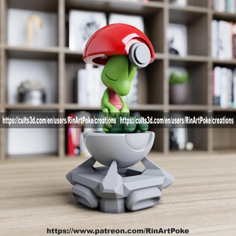Treecko in the Pokeball from pokemon
