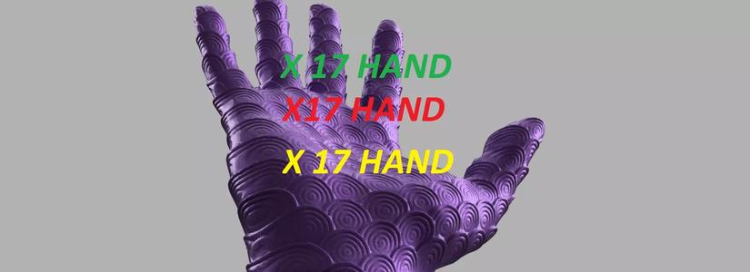 Hand X17