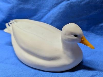 Duck