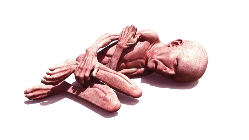 LORD VOLDEMORT  HARRY POTTER  THE RELICS OF THE DEAD