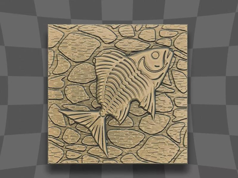 The dried dead fish on the rock