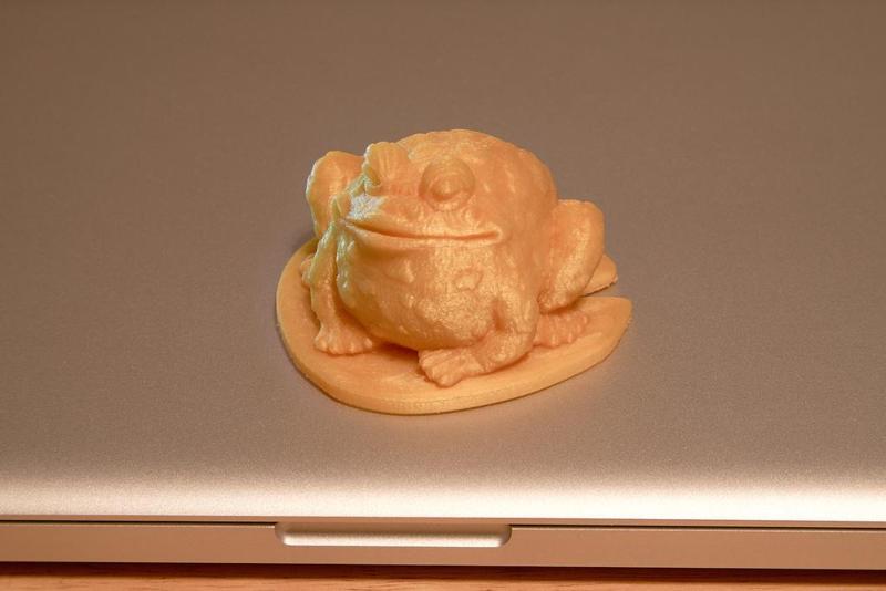 Garden Toad on a Lily Pad