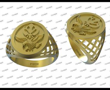 egale ring 3D