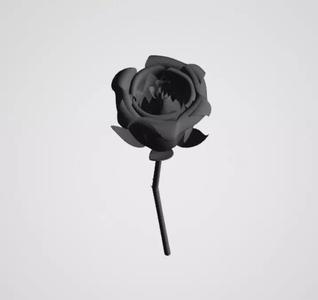 realistic 3d rose flower