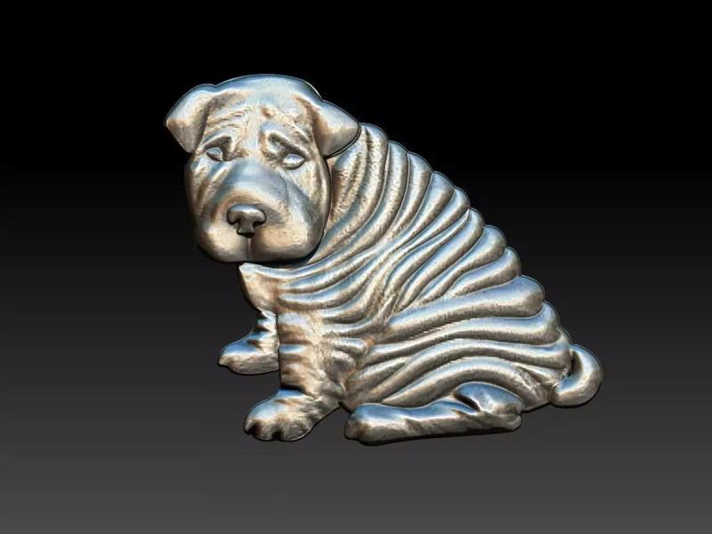 Shar pei Dog Relief