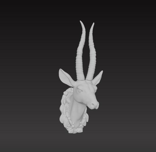 Gazelle head