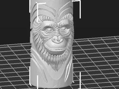 Monkey 