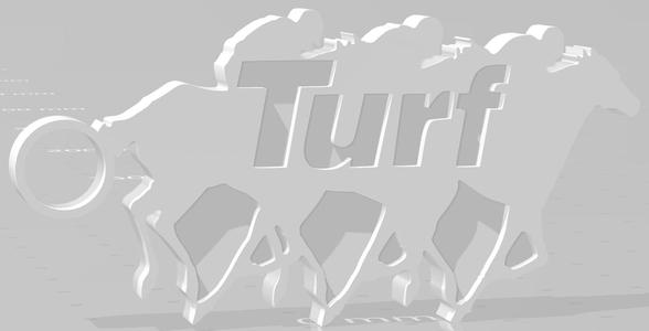 Llavero de Turf