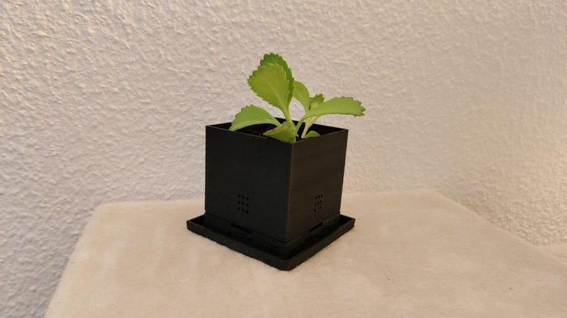 Small Succulent Pot