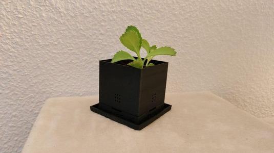 Small Succulent Pot