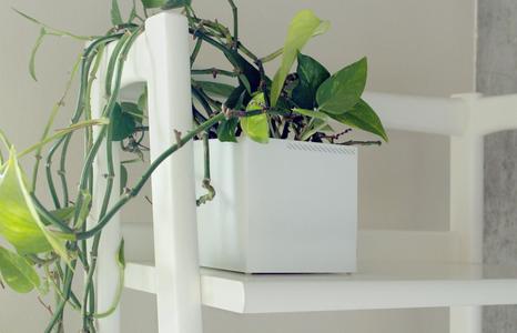 003e - Planter - Large Cuboid -
