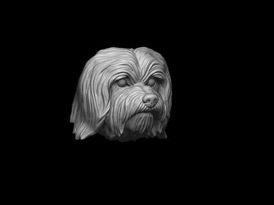 Havanese dog head pendant 3d print model