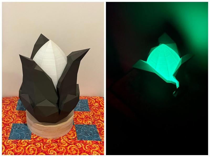 Giant Brightbloom Seed from Zelda : Tears of the Kingdom