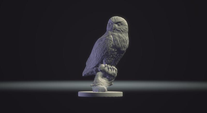 Snow Owl Standing