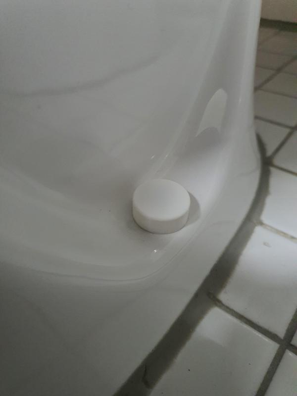 Cap and SnapOn for WC screw