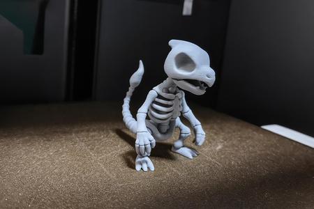 Charmeleon Skeleton (Pokemon)