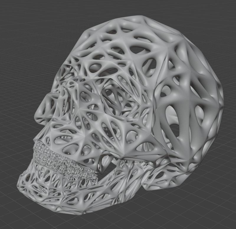 Voronoi Skull #2