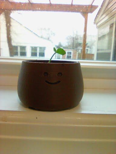 mini planter