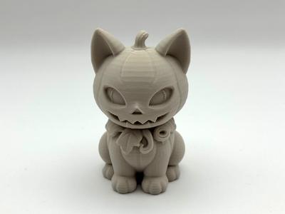 Pumpkitten