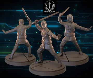 star wars shatterpoint luke