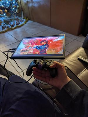 Steamdeck Switch Pro Monitor