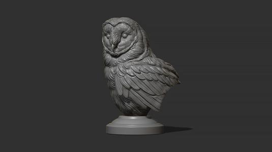 Barn owl bust