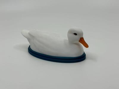Duck
