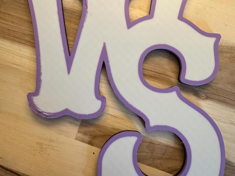 Winston Salem Dash Sign